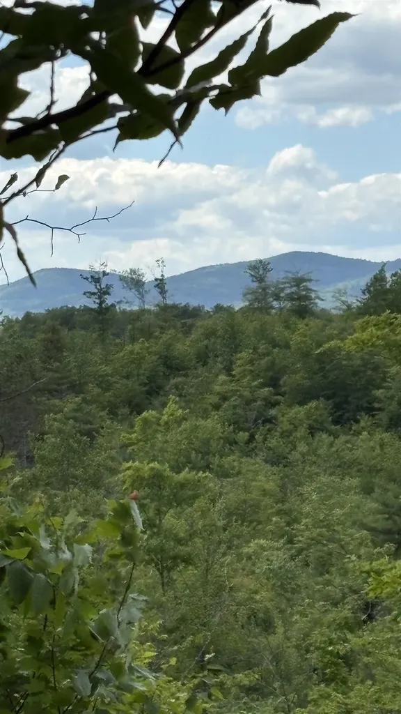 0 Oregon Road Lyman NH 03585