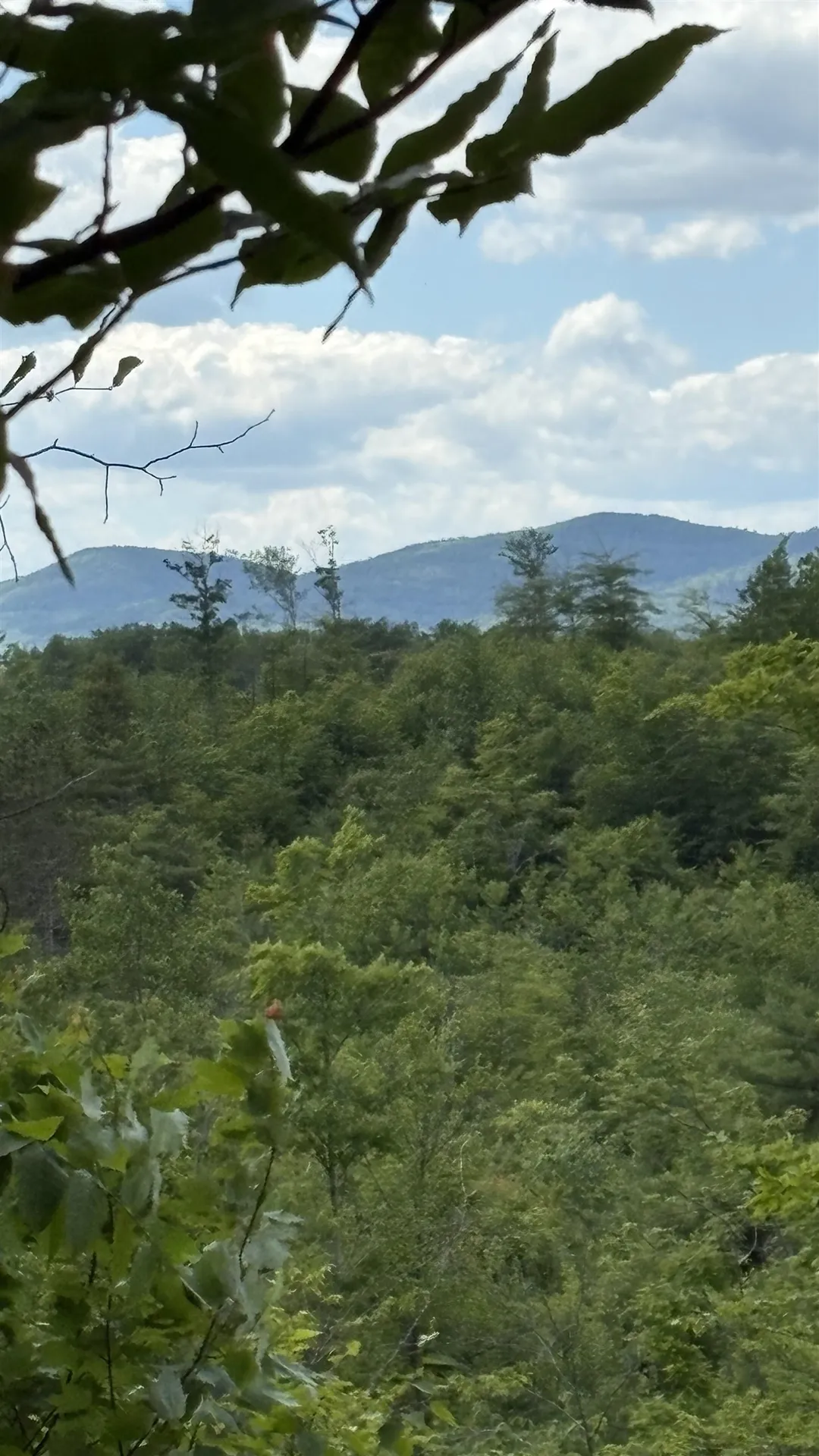 0 Oregon Road Lyman NH 03585