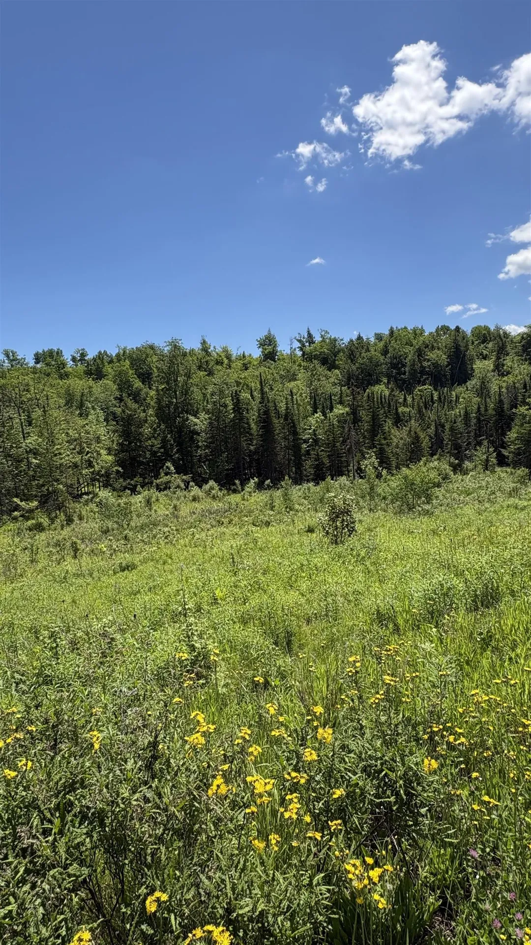 0 Oregon Road Lyman NH 03585