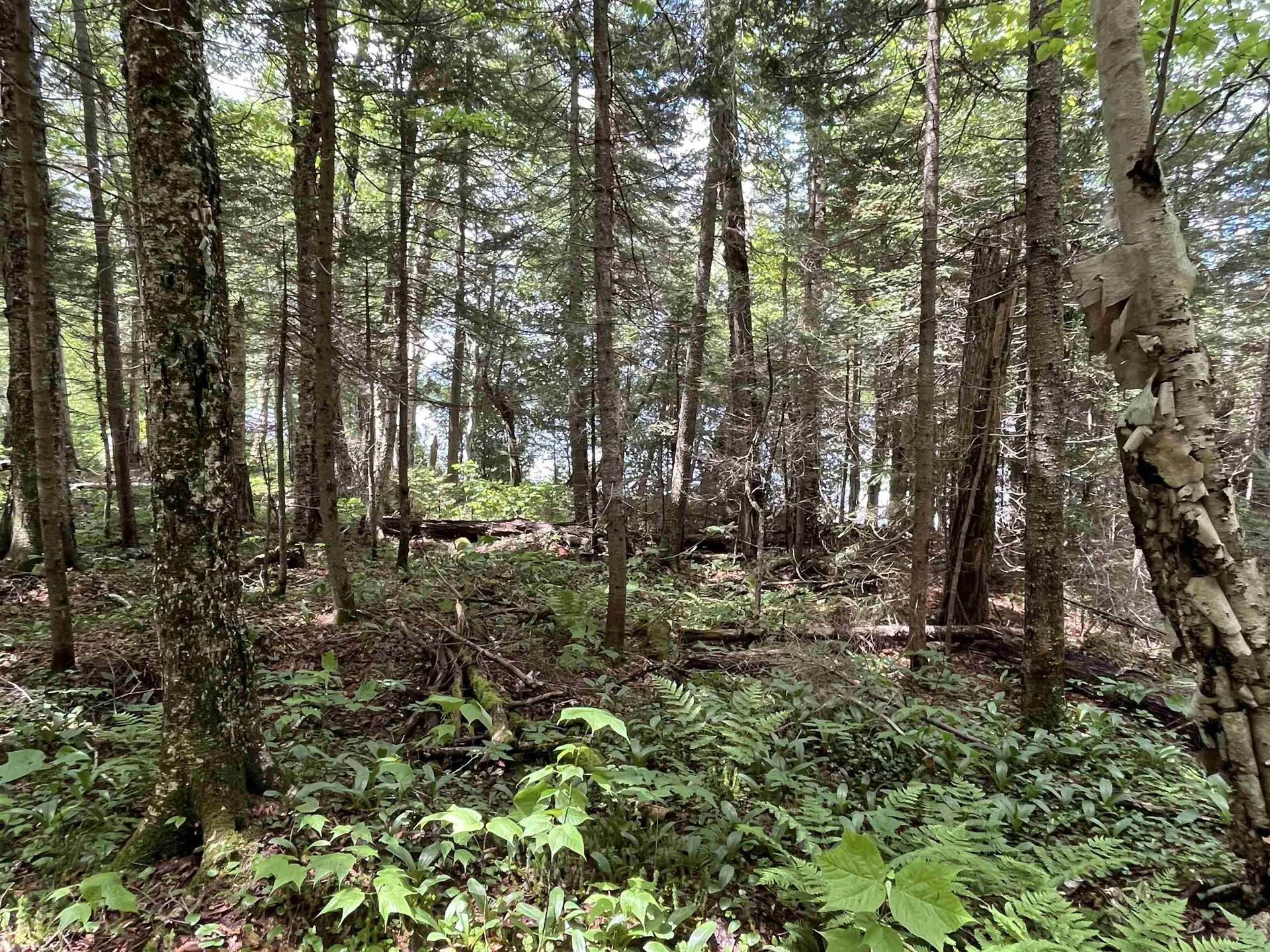 248 Cowan Road Averill VT 05901