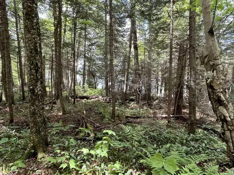 248 Cowan Road Averill VT 05901