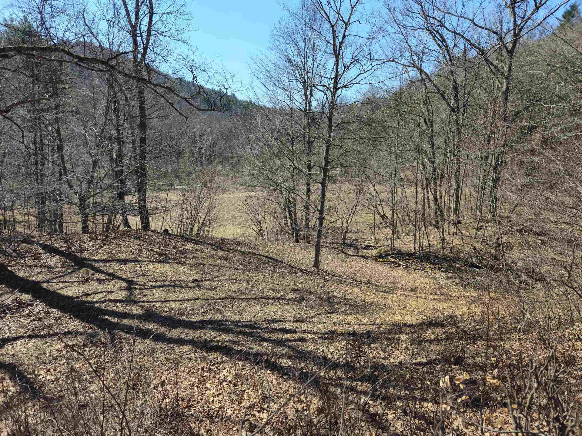 1736 River Road Guilford VT 05301