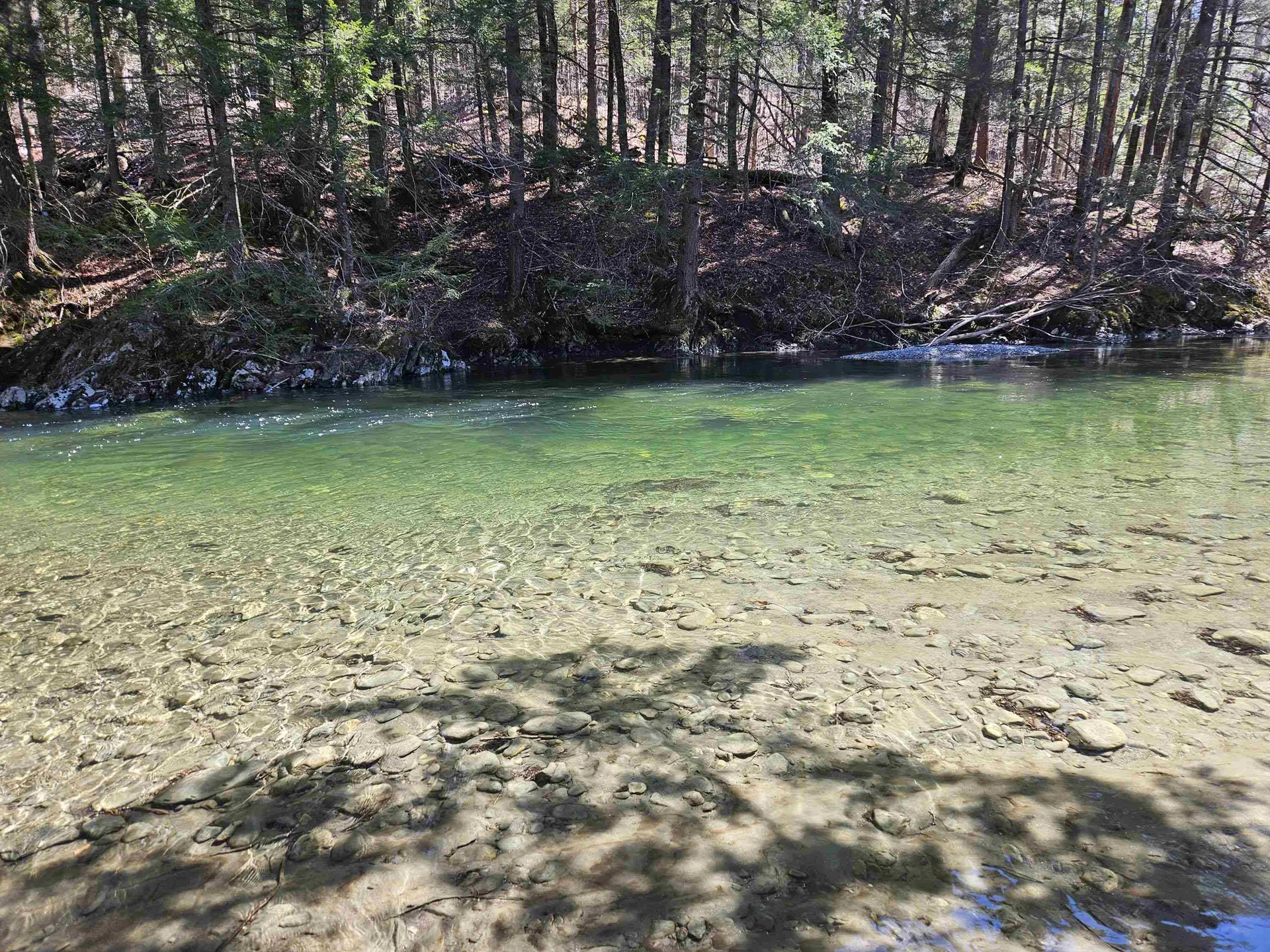 1736 River Road Guilford VT 05301