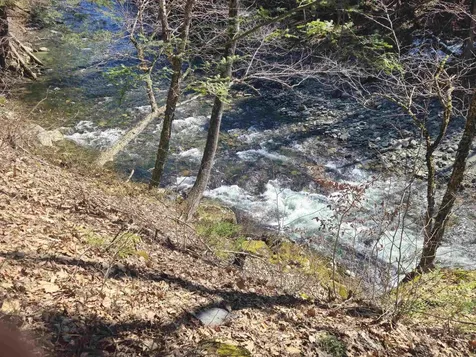 1736 River Road Guilford VT 05301