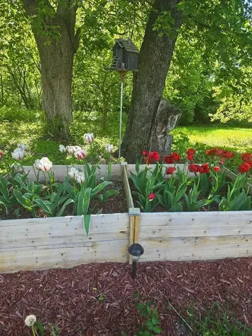 66 Cook Road Highgate VT 05478