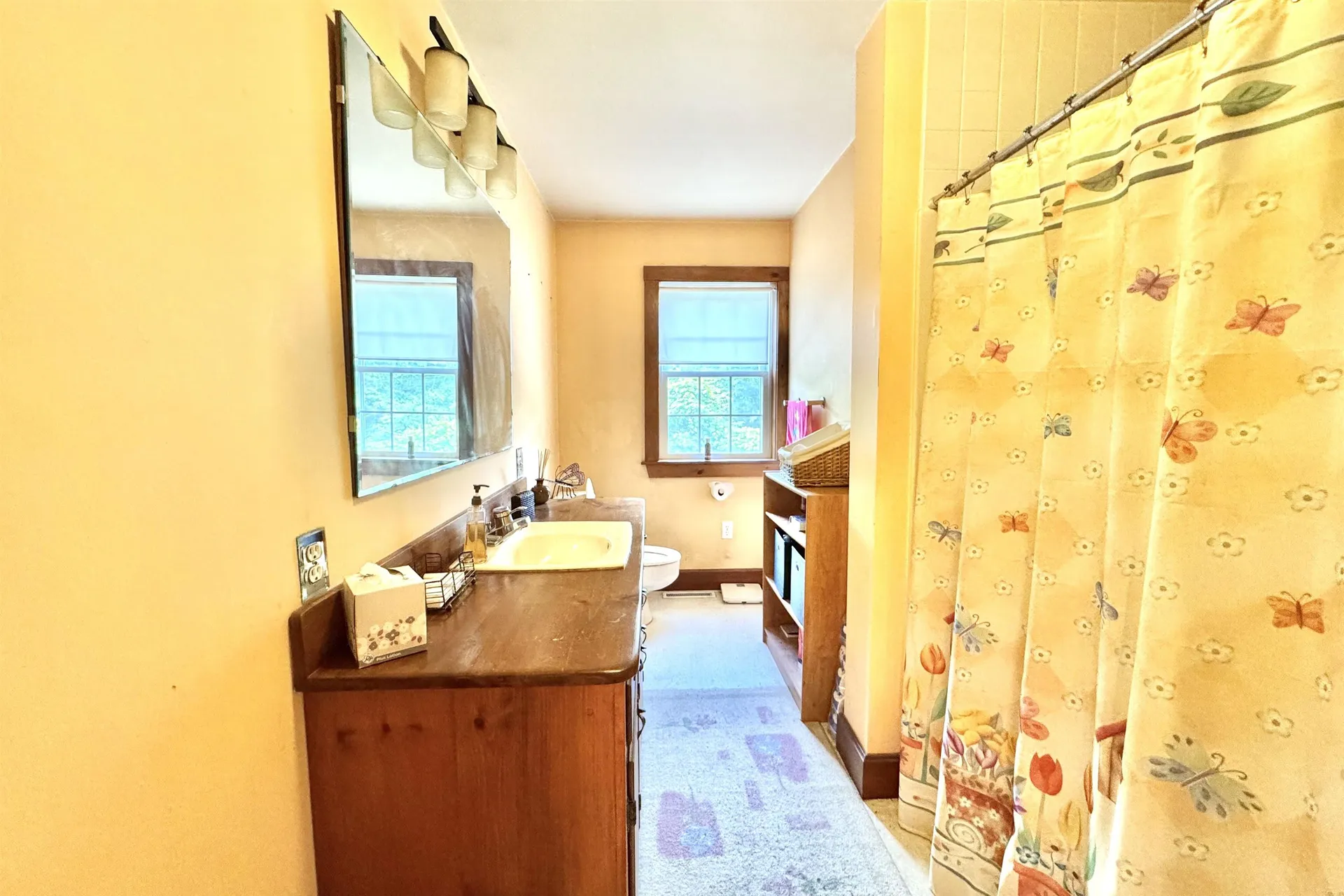 60 Abbot Hill Acres Road Wilton NH 03086