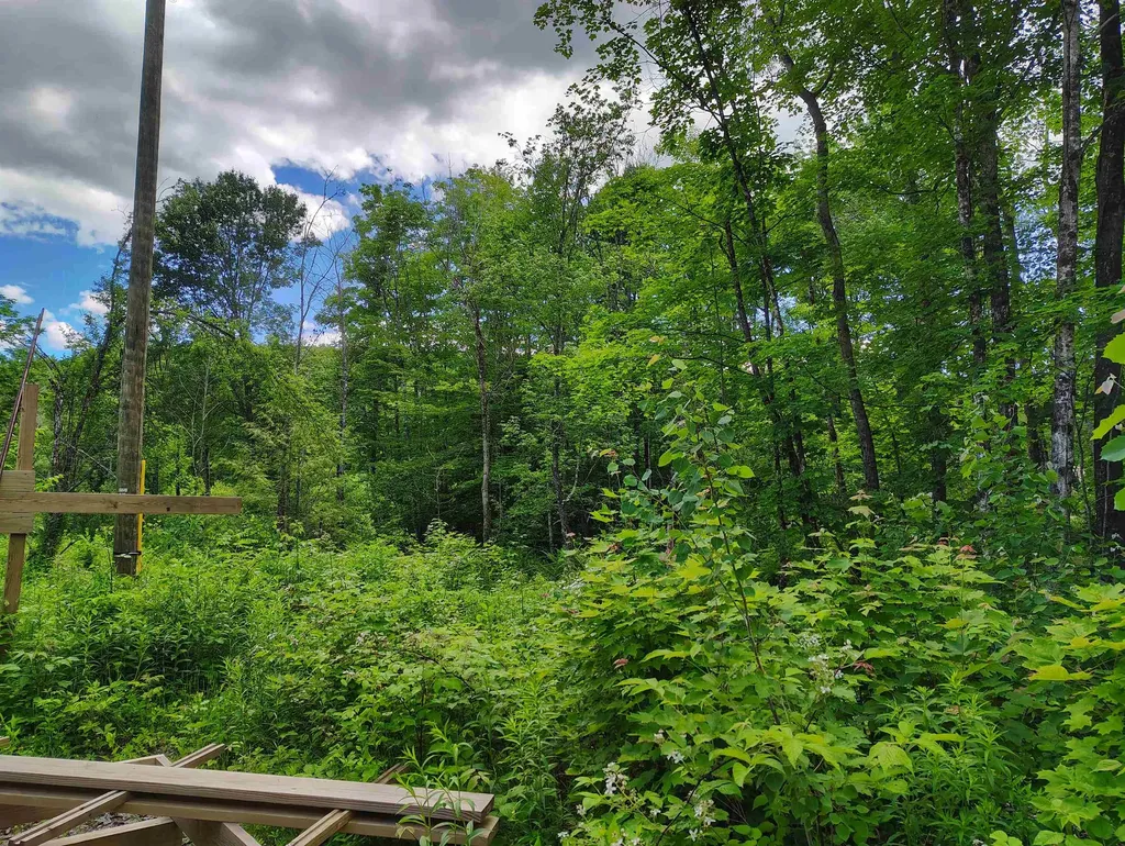 12 Frescoln Road Wentworth NH 03282
