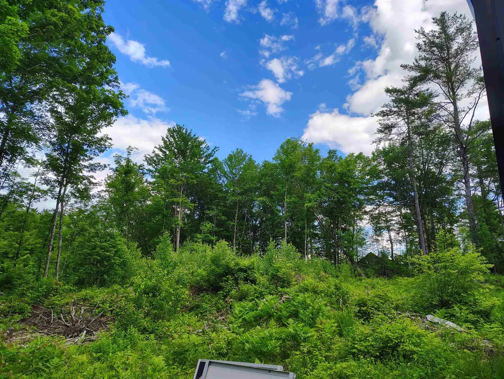 12 Frescoln Road Wentworth NH 03282