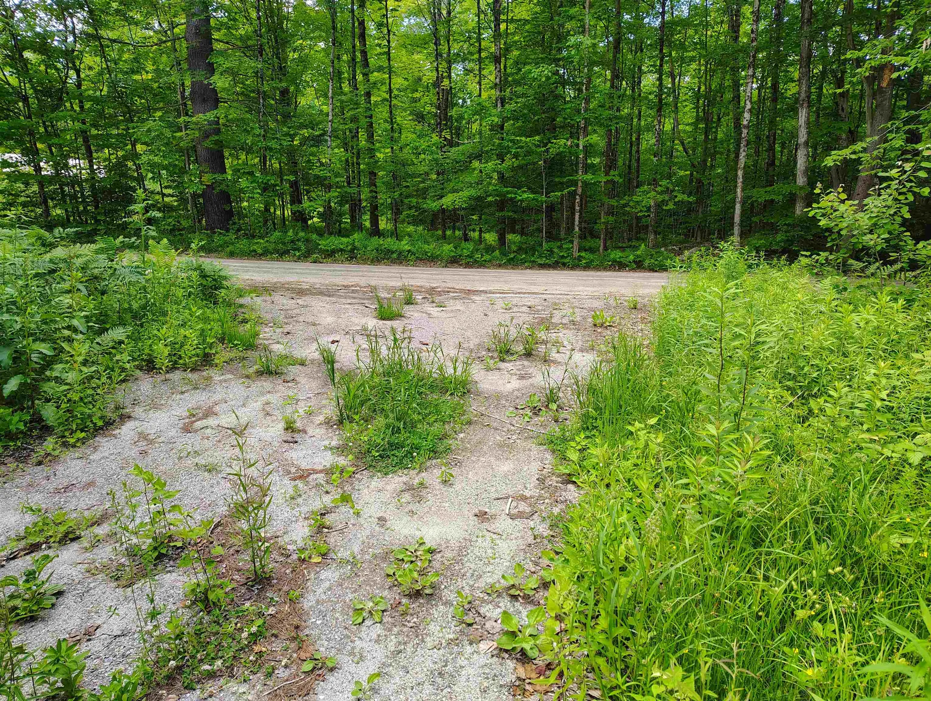 12 Frescoln Road Wentworth NH 03282