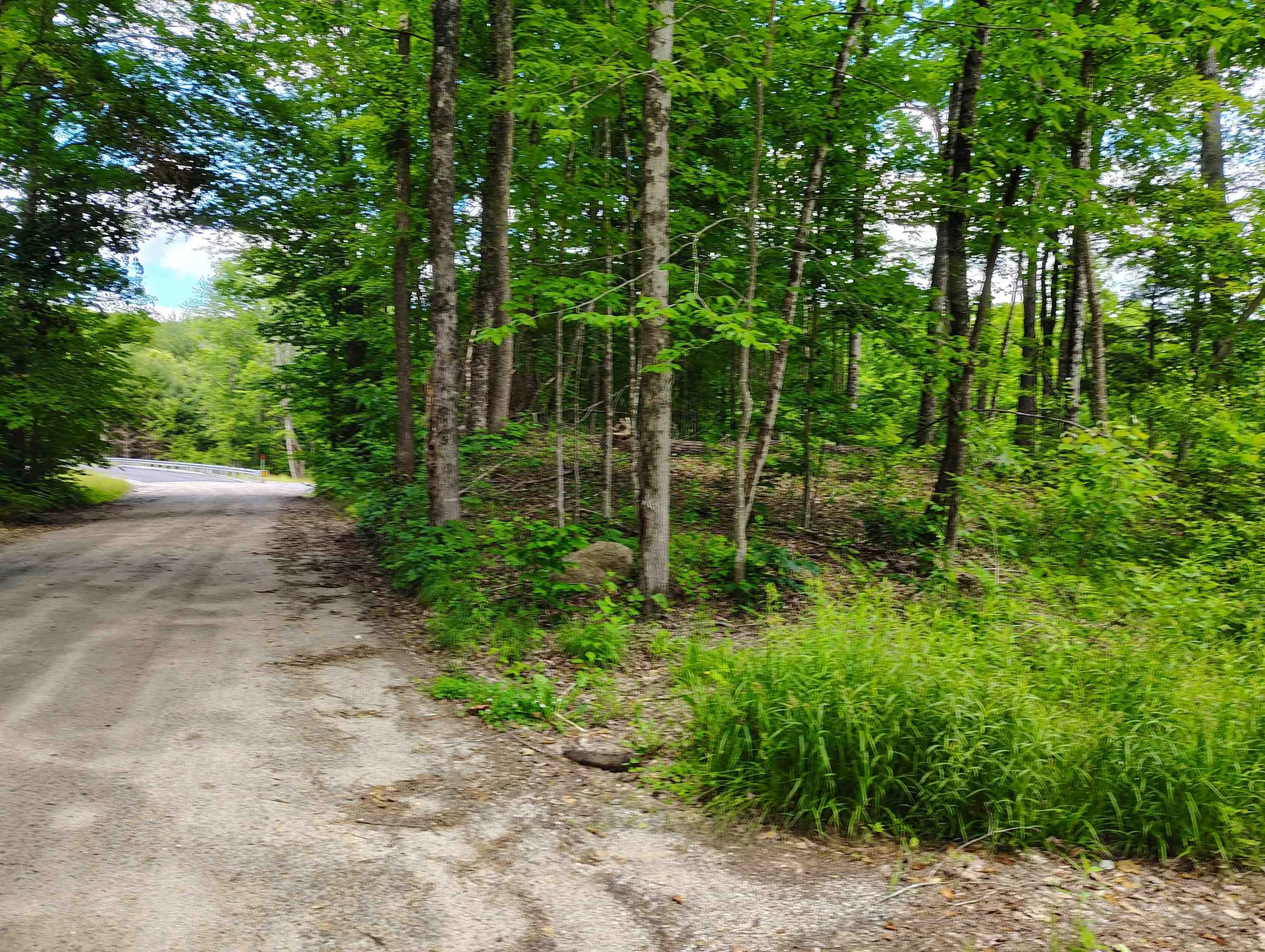 12 Frescoln Road Wentworth NH 03282