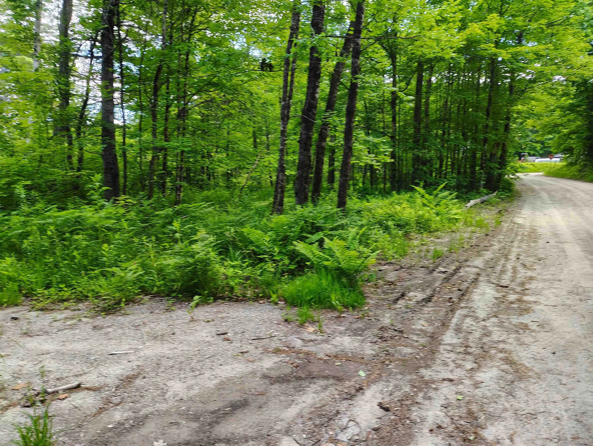 12 Frescoln Road Wentworth NH 03282