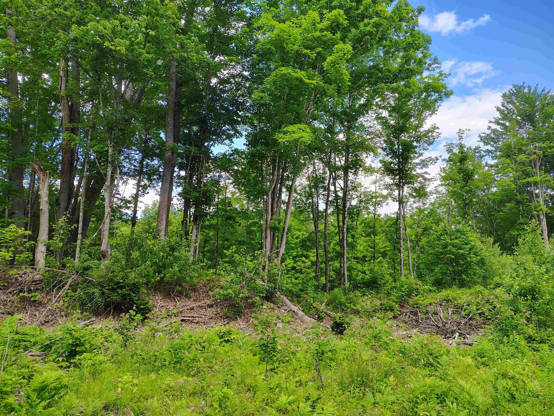 12 Frescoln Road Wentworth NH 03282