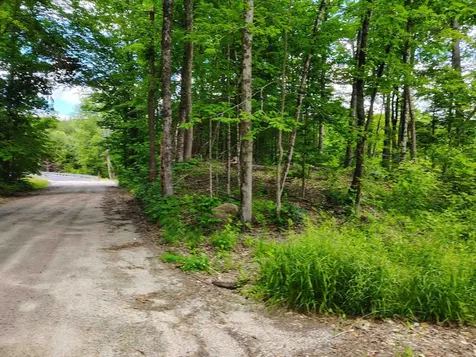 12 Frescoln Road Wentworth NH 03282