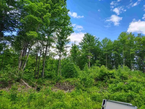 12 Frescoln Road Wentworth NH 03282