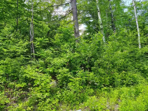 12 Frescoln Road Wentworth NH 03282