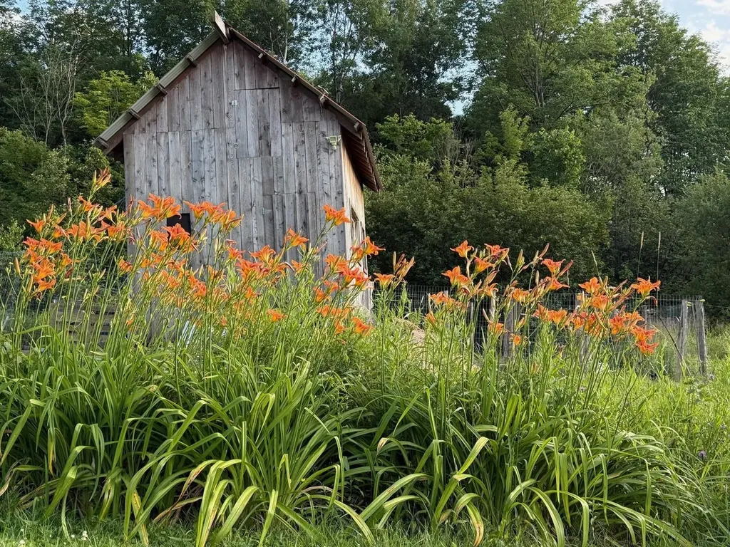 785 Duffy Hill Road Enosburg VT 05450