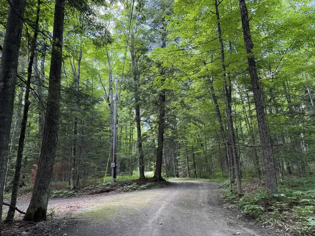 78 Buzzell East Morgan VT 05853