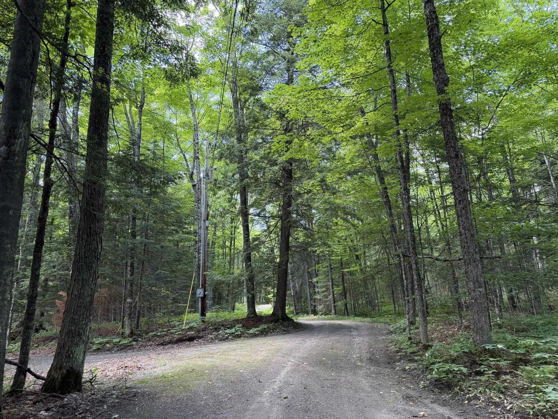 78 Buzzell East Morgan VT 05853