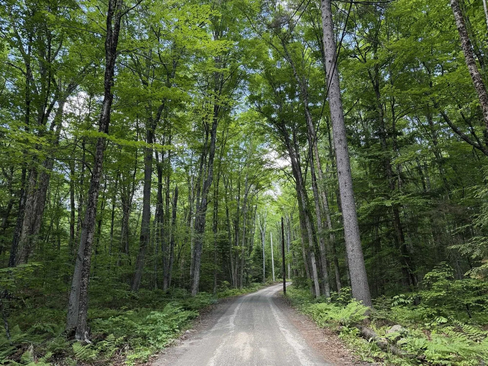78 Buzzell East Morgan VT 05853