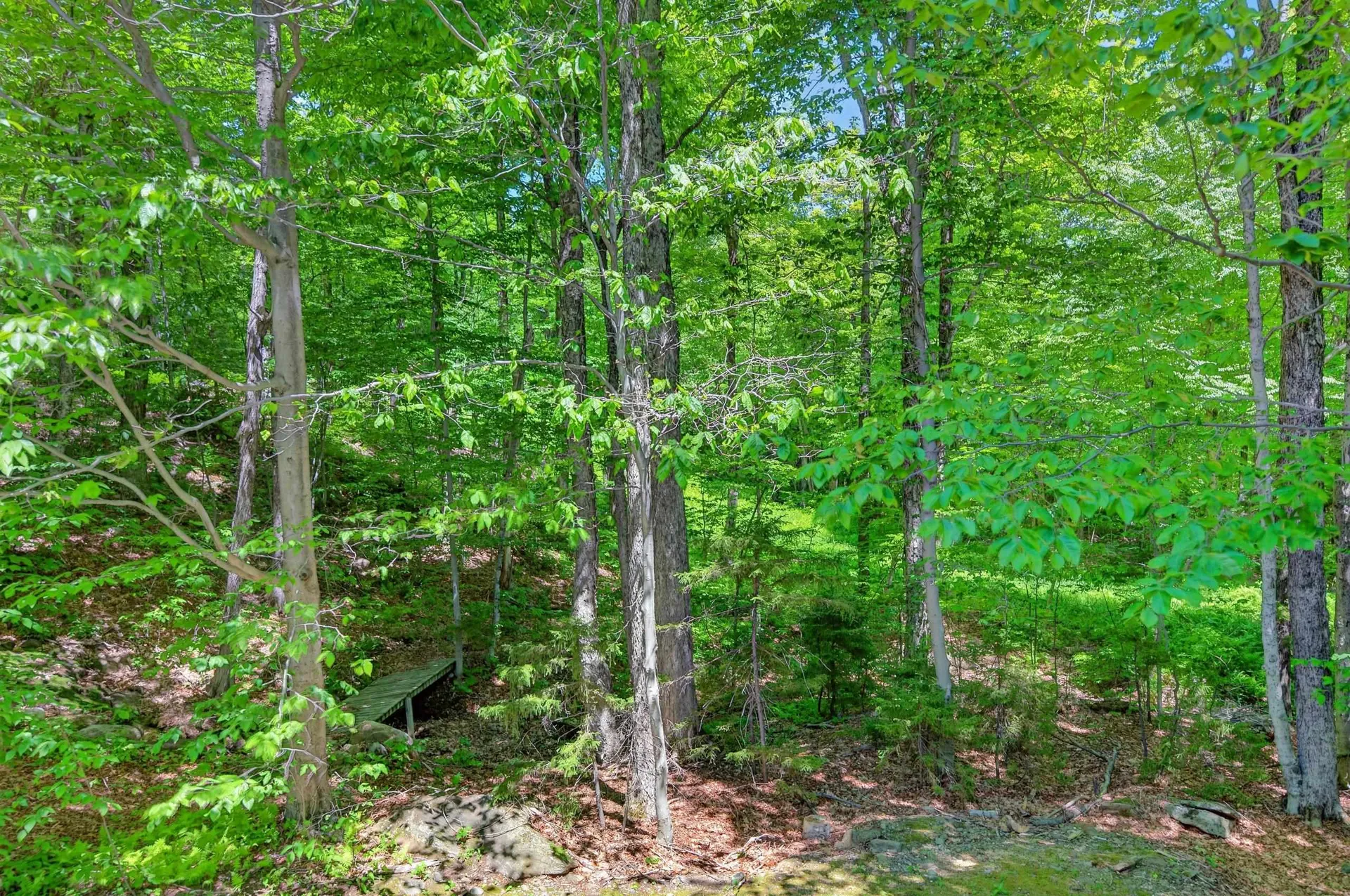 36 Bears Den Road Dover VT 05356