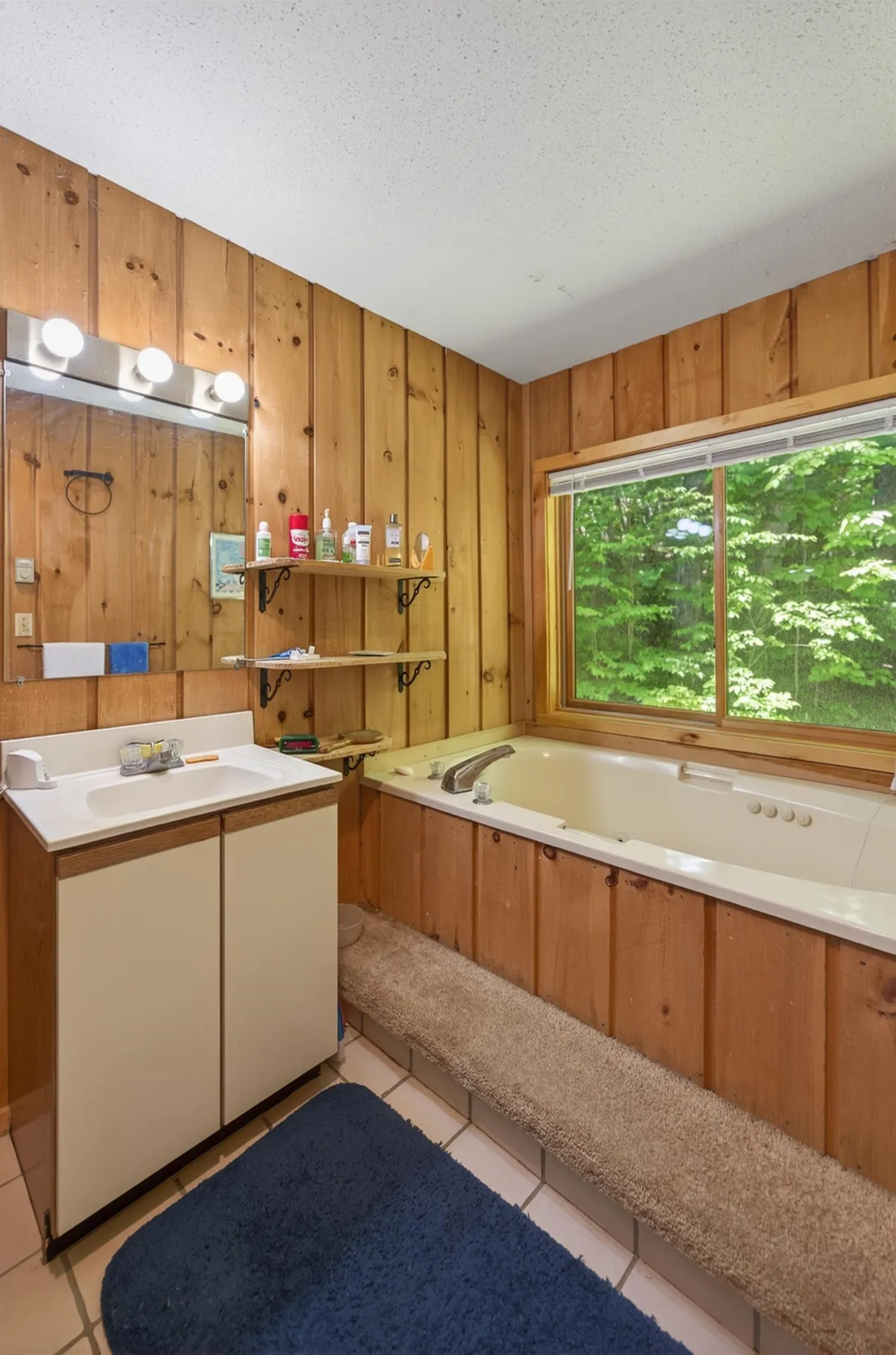 36 Bears Den Road Dover VT 05356