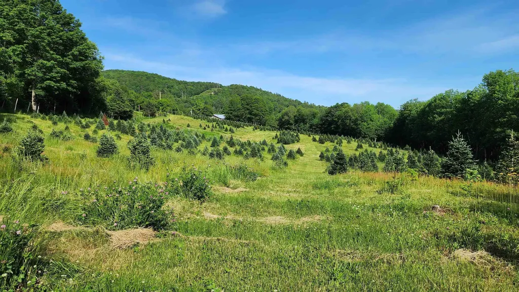 97 Stewart Lane Shrewsbury VT 05738