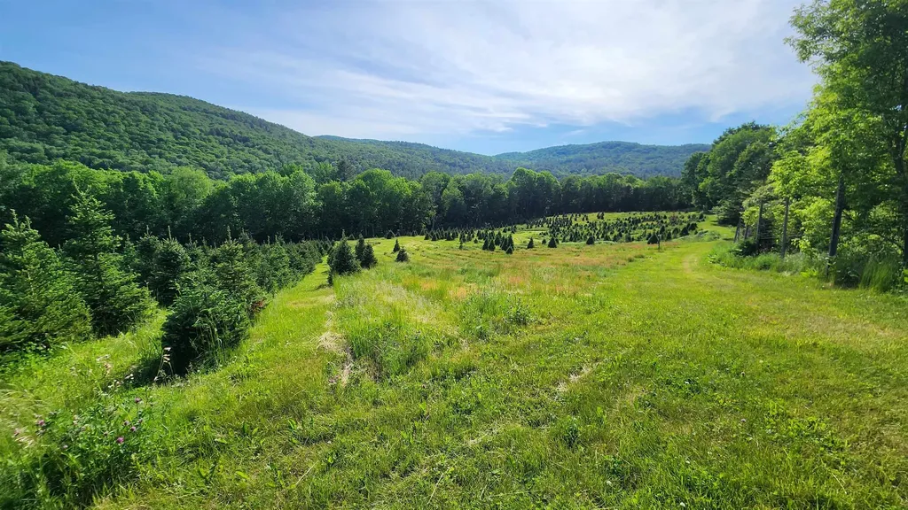97 Stewart Lane Shrewsbury VT 05738