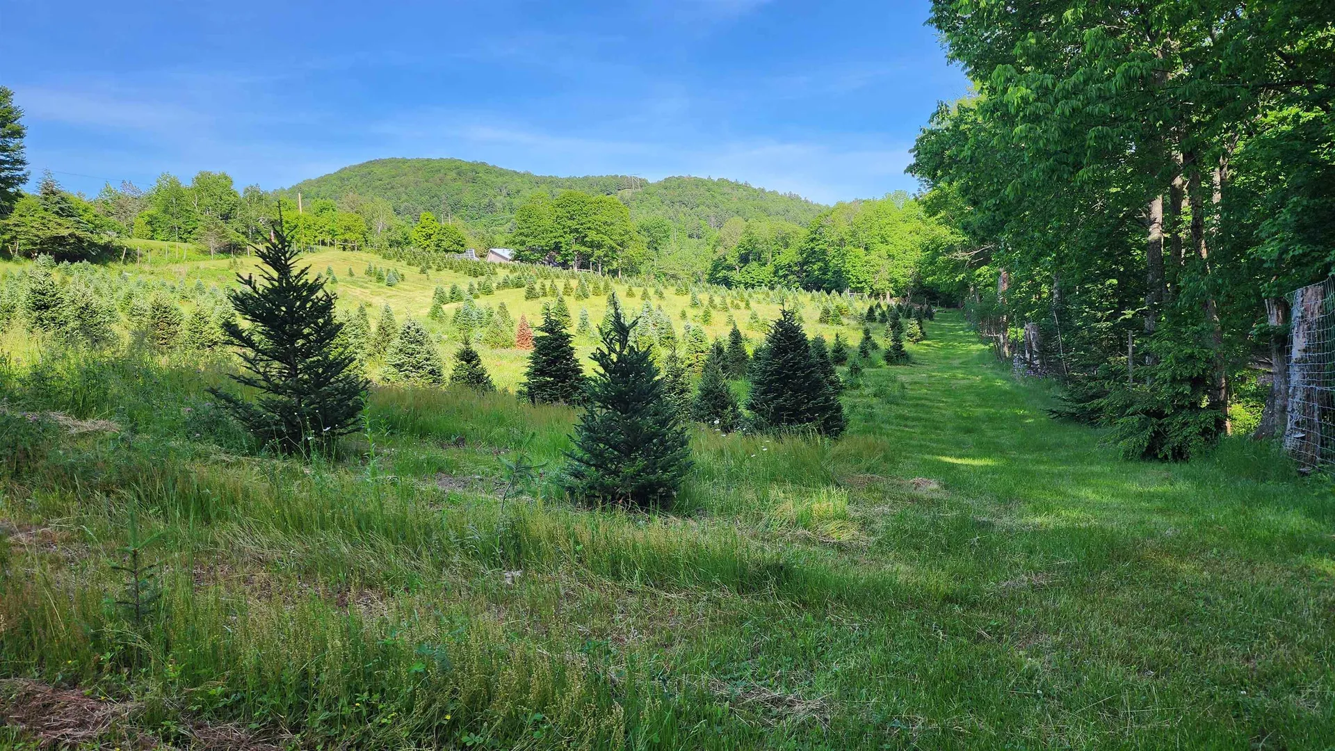 97 Stewart Lane Shrewsbury VT 05738