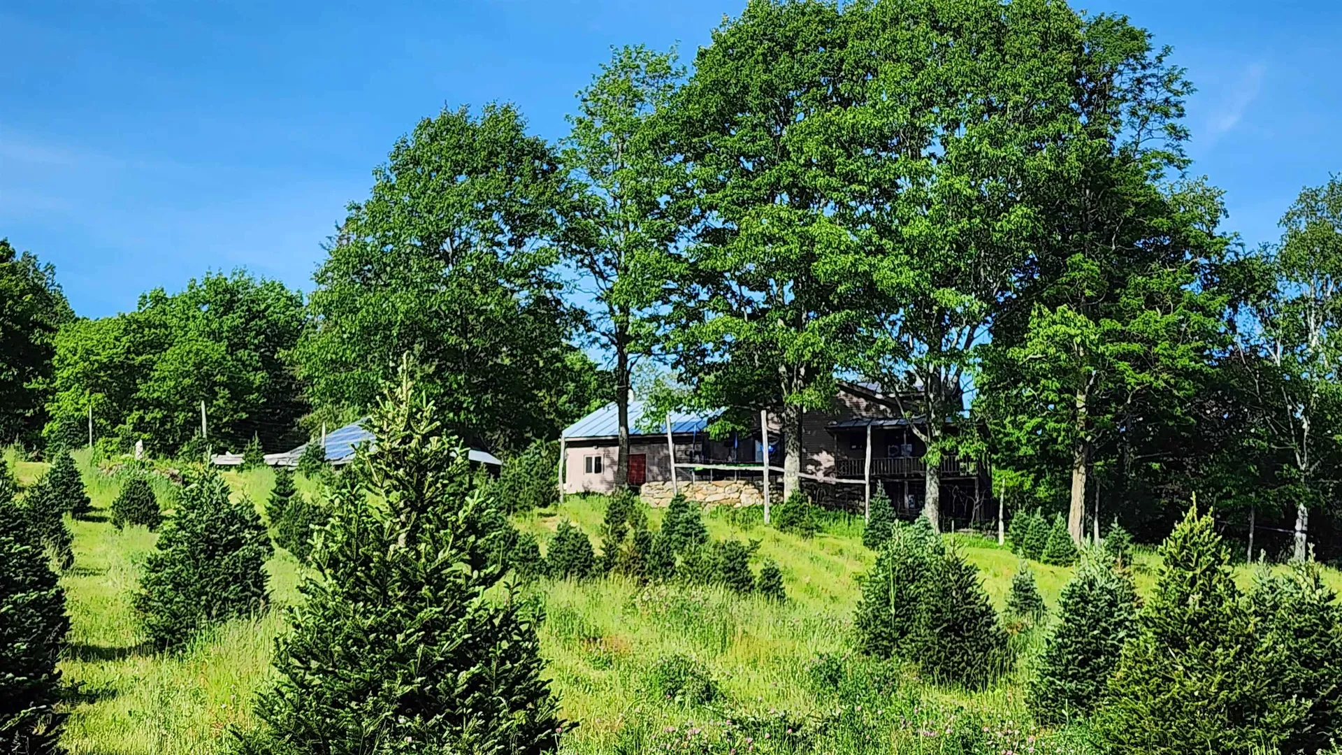 97 Stewart Lane Shrewsbury VT 05738