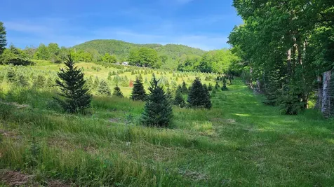 97 Stewart Lane Shrewsbury VT 05738