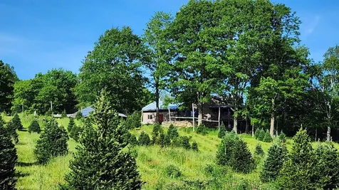 97 Stewart Lane Shrewsbury VT 05738