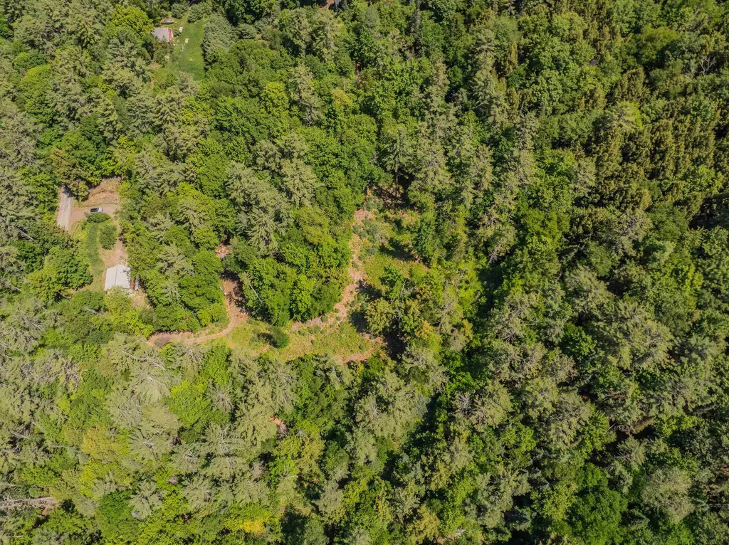 64 Beaver Pond Road Lyman NH 03585