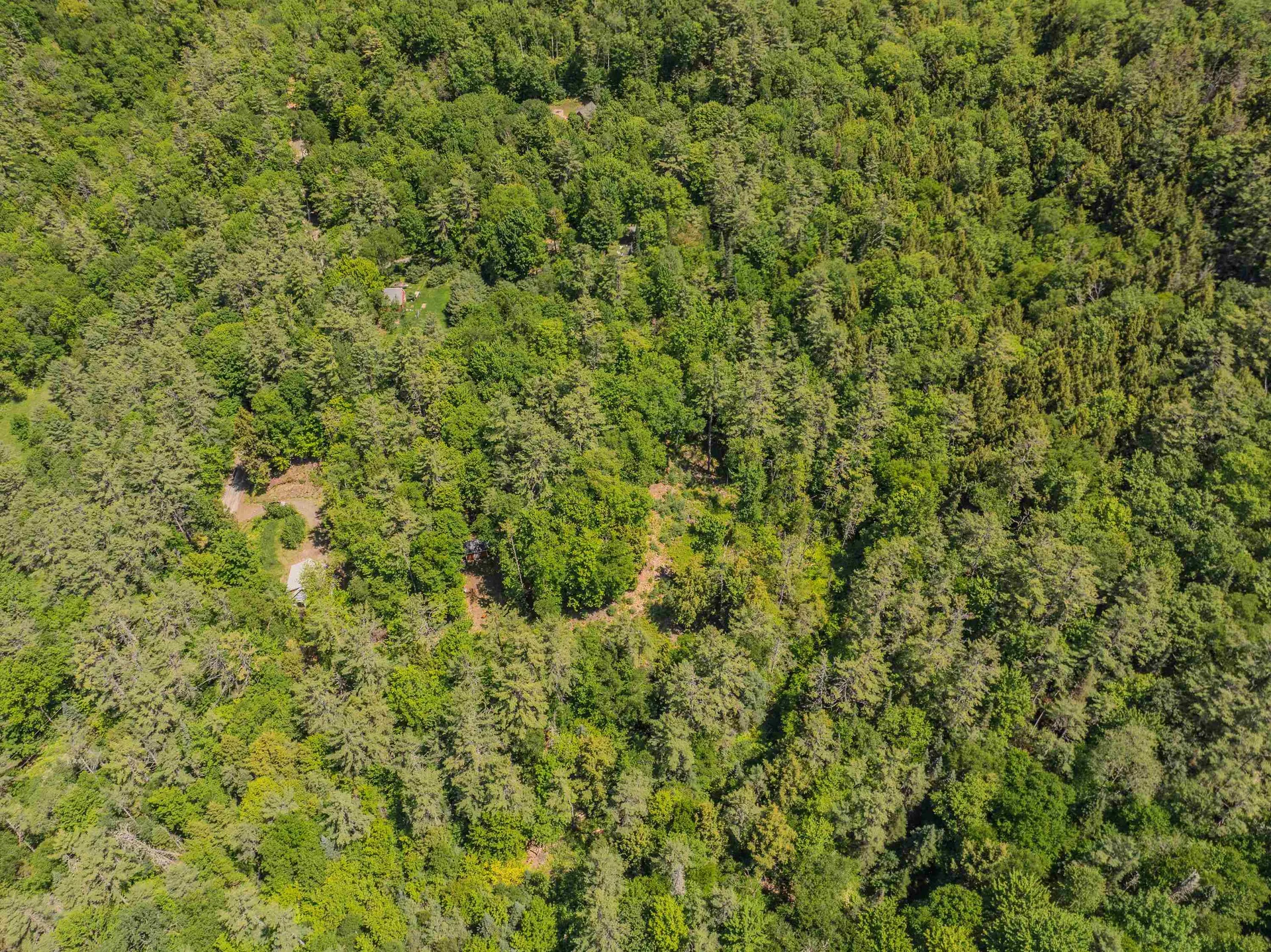 64 Beaver Pond Road Lyman NH 03585