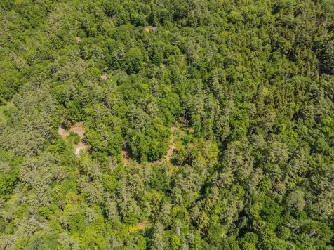 64 Beaver Pond Road Lyman NH 03585