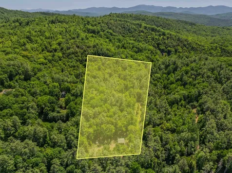 64 Beaver Pond Road Lyman NH 03585