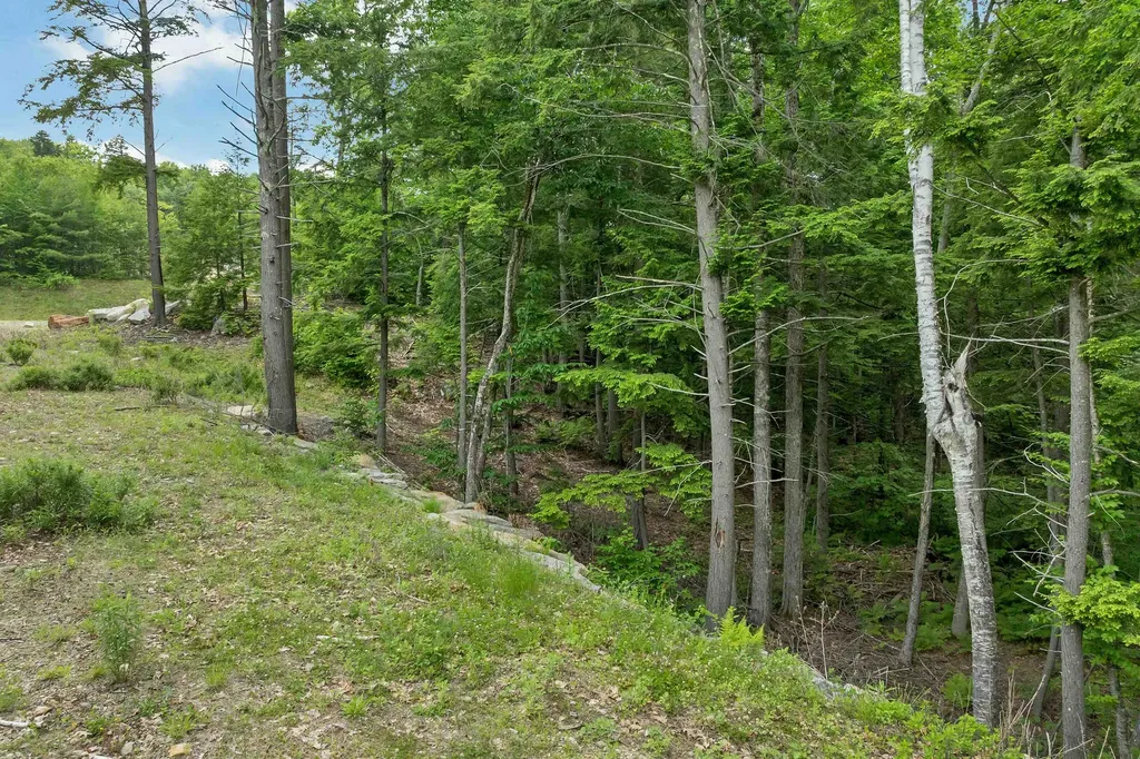 Map 15 Lot 60 Brynn Lane Alton NH 03809