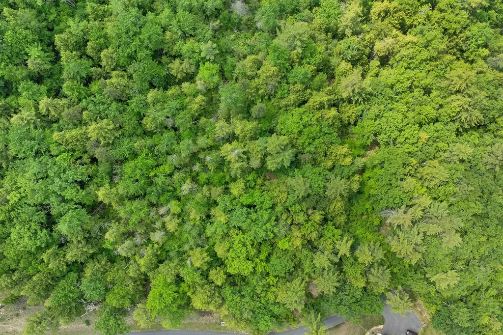 Map 15 Lot 60 Brynn Lane Alton NH 03809