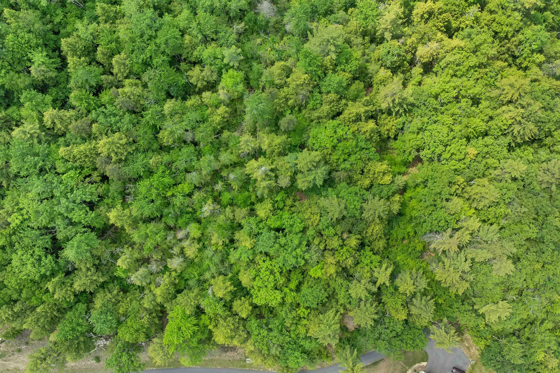 Map 15 Lot 60 Brynn Lane Alton NH 03809