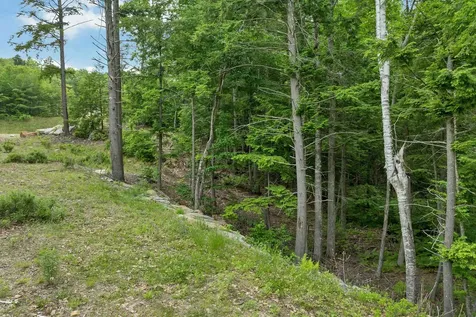 Map 15 Lot 60 Brynn Lane Alton NH 03809