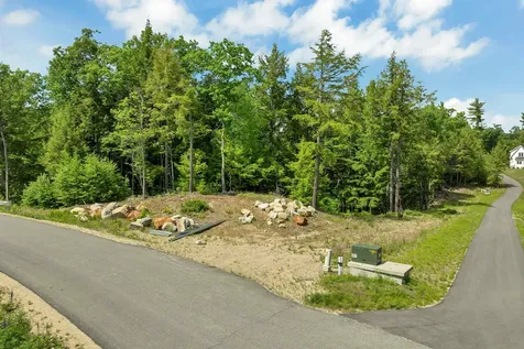 Map 15 Lot 60 Brynn Lane Alton NH 03809