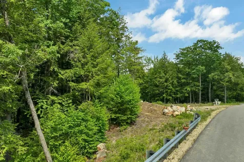 Map 15 Lot 60 Brynn Lane Alton NH 03809