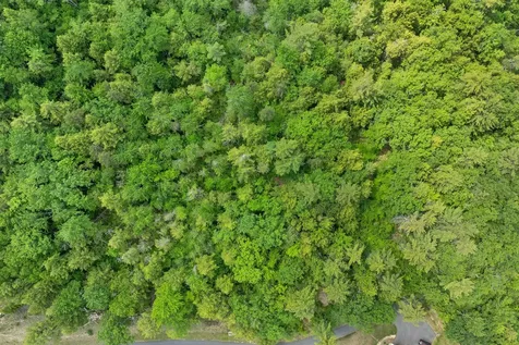 Map 15 Lot 60 Brynn Lane Alton NH 03809