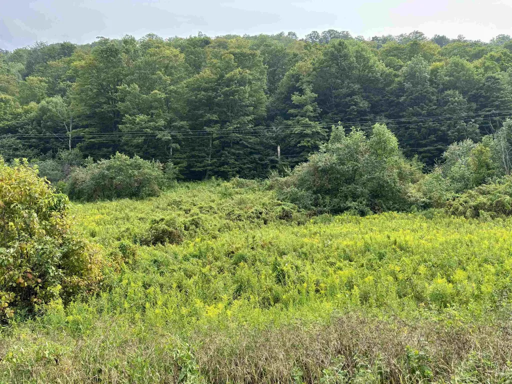 4948 Underpass Road Sutton VT 05867