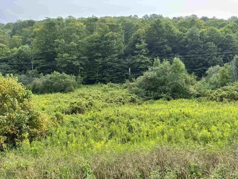 4948 Underpass Road Sutton VT 05867