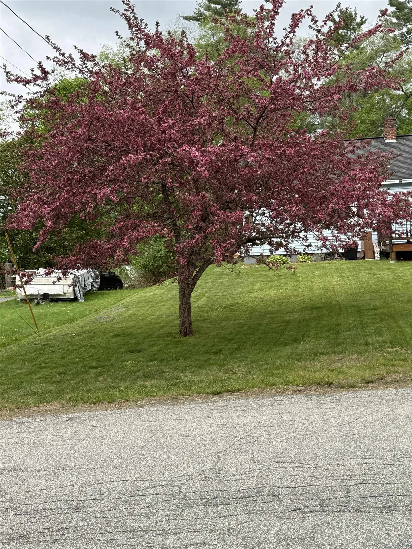 59 Bishop Street Littleton NH 03561