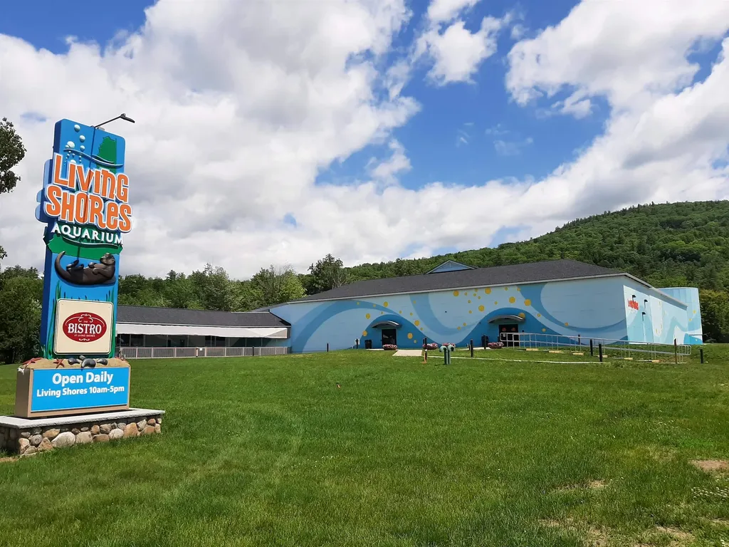 58 West Ledge Road Bartlett NH 03838