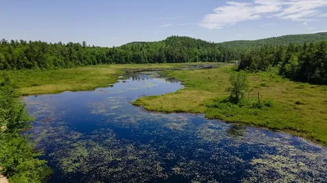 216 Old Forest Road Stoddard NH 03464