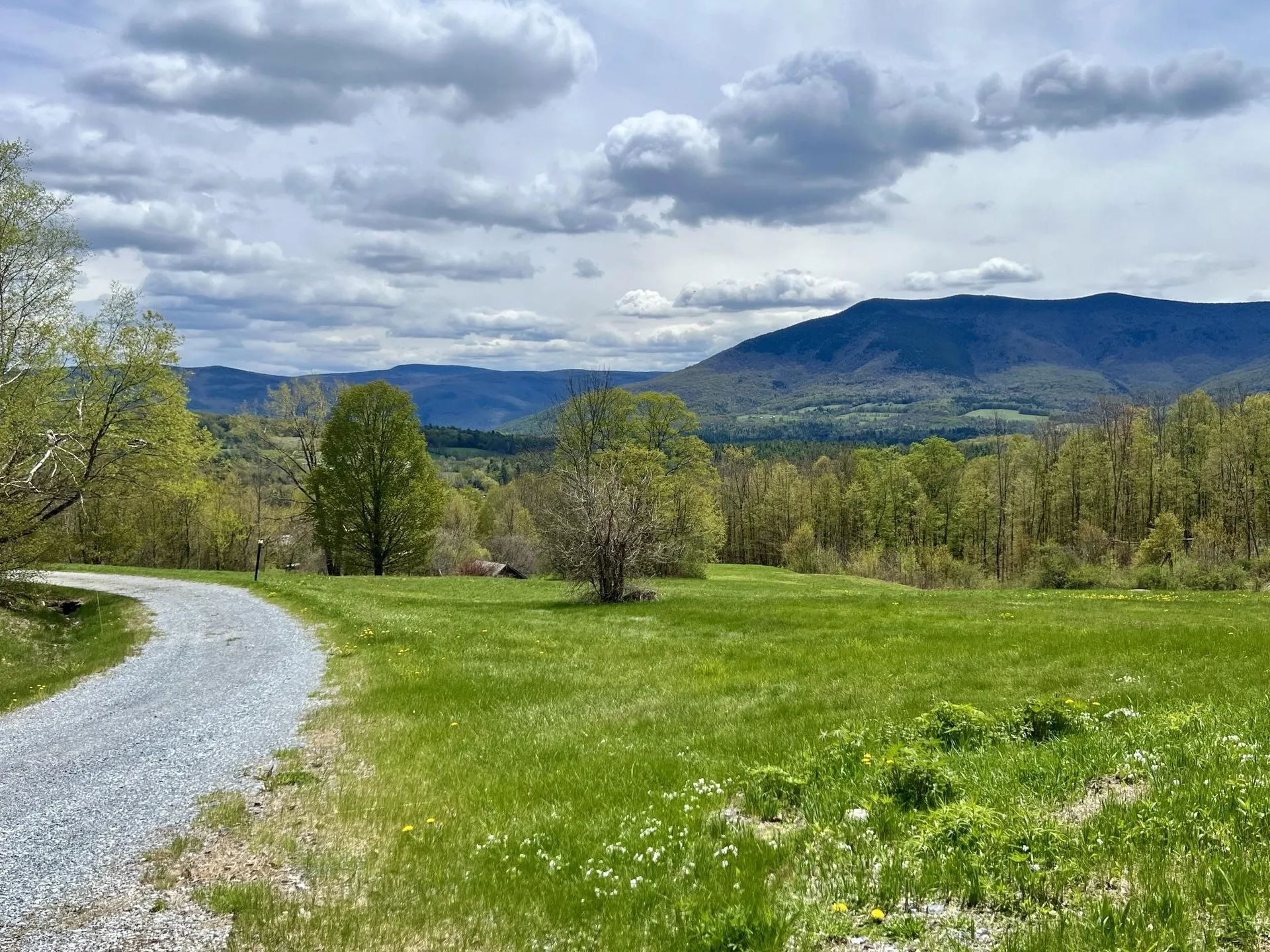 413 Dutch Hill Road Danby VT 05739