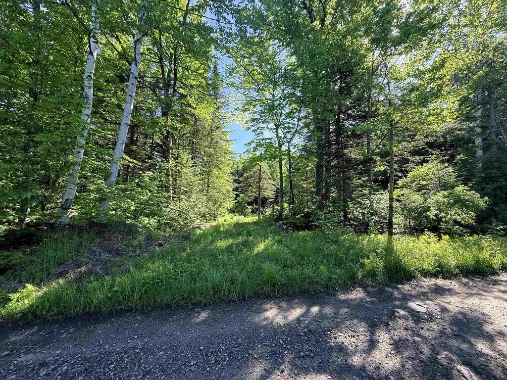 00 Tug Mountain Road Lunenburg VT 05906