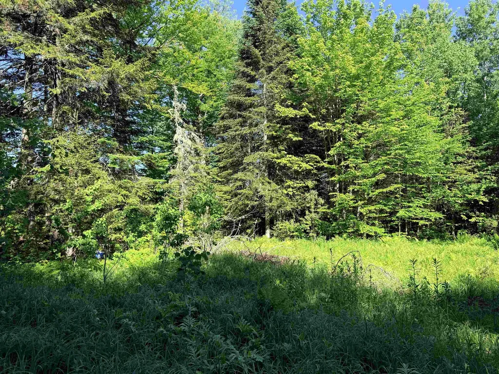 00 Tug Mountain Road Lunenburg VT 05906